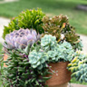 Meet your Posher, Mac